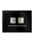 IN CASE OF EMERGENCY – BREAK GLASS
